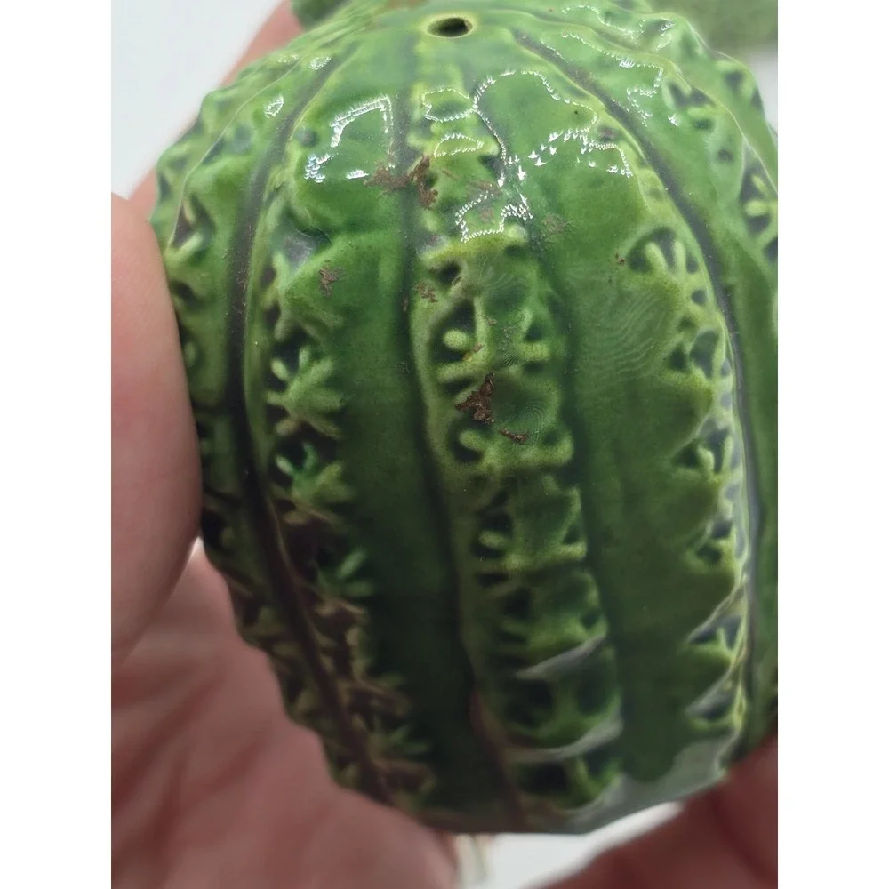 Cactus‎ Salt and Pepper Shaker red flower ceramic vintage southwest 3